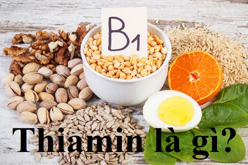 Thiamin (Vitamin B1) là gì? Tác dụng của Thiamin (Vitamin B1), liều dùng và tác dụng phụ