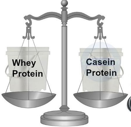 Casein Protein va Whey Protein