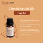 Oilogi-be1baa1c-hc3a0-10-510x510-1